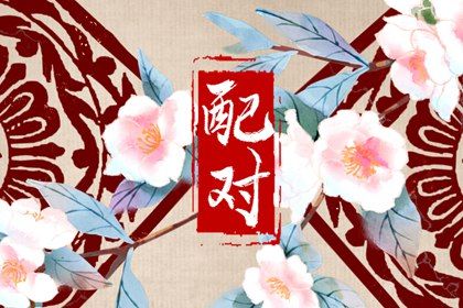 现代婚恋中的合婚角色